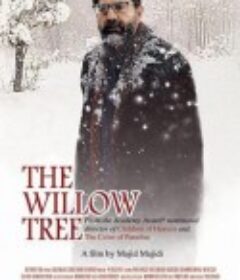 风吹柳树静 بید مجنون            (2005)