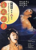 金瓶风月 金瓶風月 (1991)