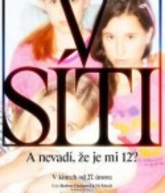 落入法网 V síti            (2020)