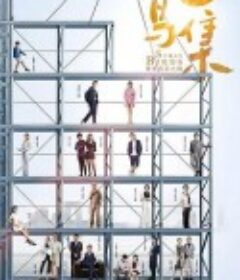 飞鸟集            (2021)