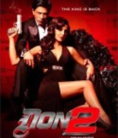 夺命煞星宝莱坞之国王归来 Don 2            (2011)