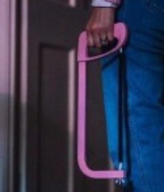 斑马少女 Zebra Girl            (2020)