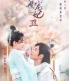 双世宠妃Ⅲ            (2021)