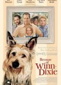 都是戴茜惹的祸 Because of Winn-Dixie            (2005)