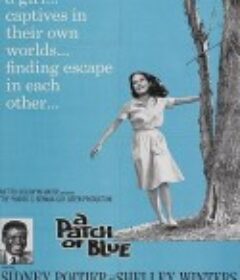 再生缘 A Patch of Blue            (1965)