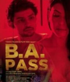 情迷家教 B.A. Pass            (2012)