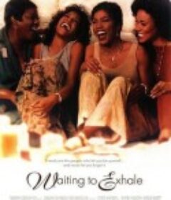 待到梦醒时分 Waiting to Exhale            (1995)