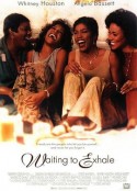 待到梦醒时分 Waiting to Exhale            (1995)