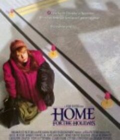心情故事 Home for the Holidays            (1995)