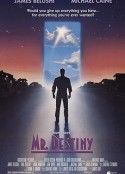 命运先生 Mr. Destiny            (1990)