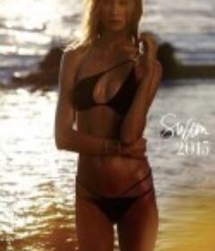 维多利亚的秘密泳装特辑2015 The Victoria's Secret Swim Special 2015            (2015)