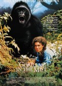 迷雾森林十八年 Gorillas in the Mist: The Story of Dian Fossey            (1988)