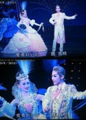 宝塚歌剧 华丽的百年 宝塚歌劇 華麗なる100年 ～スターが語る夢の世界～            (2014)