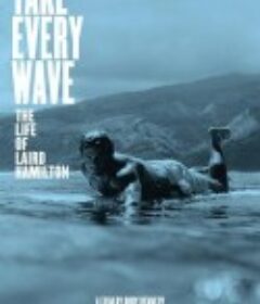 追浪：莱尔德·汉密尔顿的一生 Take Every Wave: The Life of Laird Hamilton            (2017)