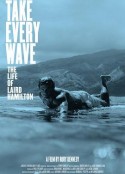 追浪：莱尔德·汉密尔顿的一生 Take Every Wave: The Life of Laird Hamilton            (2017)