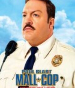 百货战警 Paul Blart: Mall Cop            (2009)