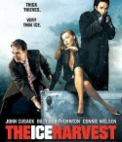 绝命圣诞夜 The Ice Harvest            (2005)