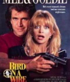 轰天俏娇娃 Bird on a Wire            (1990)