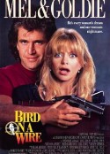 轰天俏娇娃 Bird on a Wire            (1990)