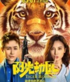 阳光劫匪            (2021)