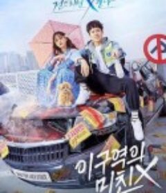 不疯不狂不爱你 이 구역의 미친X            (2021)