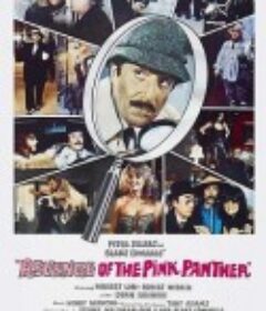 乌龙帮办逢凶化吉 Revenge of the Pink Panther            (1978)