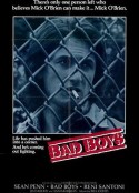 坏小子 Bad Boys            (1983)