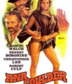 复仇的女枪手 Hannie Caulder            (1971)