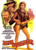 复仇的女枪手 Hannie Caulder            (1971)