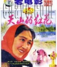 天山的红花            (1964)