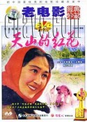 天山的红花            (1964)