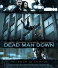 死人的复仇 Dead Man Down            (2013)