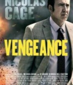 复仇：爱的故事 Vengeance: A Love Story            (2017)