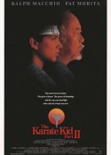 龙威小子2 The Karate Kid Part II            (1986)