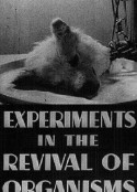 前苏联器官复苏试验 Эксперименты по оживлению организма            (1940)