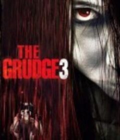 咒怨3(美版) The Grudge 3            (2009)