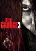 咒怨3(美版) The Grudge 3            (2009)