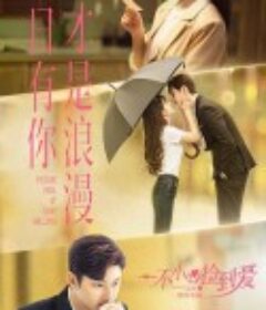 一不小心捡到爱            (2021)