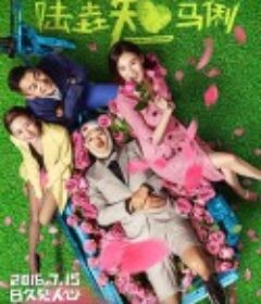 陆垚知马俐            (2016)