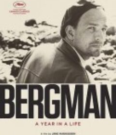 伯格曼：人生中的那一年 Bergman — ett år, ett liv (2018)