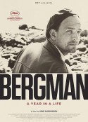 伯格曼：人生中的那一年 Bergman — ett år, ett liv (2018)