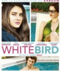 暴风雪中的白鸟 White Bird in a Blizzard            (2014)