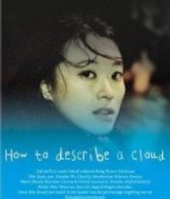 云的模样 How to Describe a Cloud            (2013)