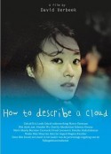 云的模样 How to Describe a Cloud            (2013)