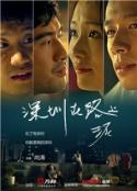深圳在路上            (2014)