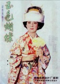 玉色蝴蝶            (1980)
