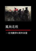 凤凰大视野：风向北吹——北伐战争90周年回望            (2016)