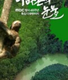 亚马逊的眼泪 아마존의 눈물            (2010)