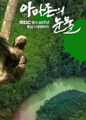 亚马逊的眼泪 아마존의 눈물            (2010)