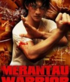 精武战士 Merantau            (2009)